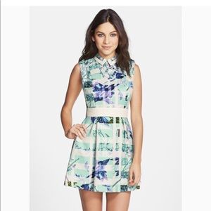 Floral print collared mini dress